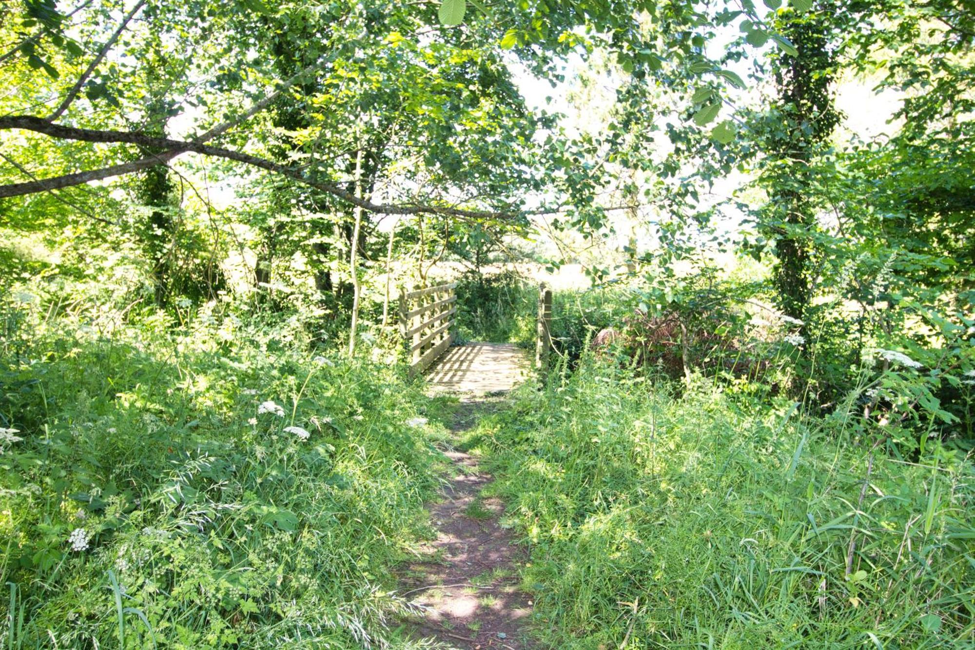 Norham Cottage: Rural Retreat With Access And Dog-friendly Amenities Holiday home Berwick Upon Tweed